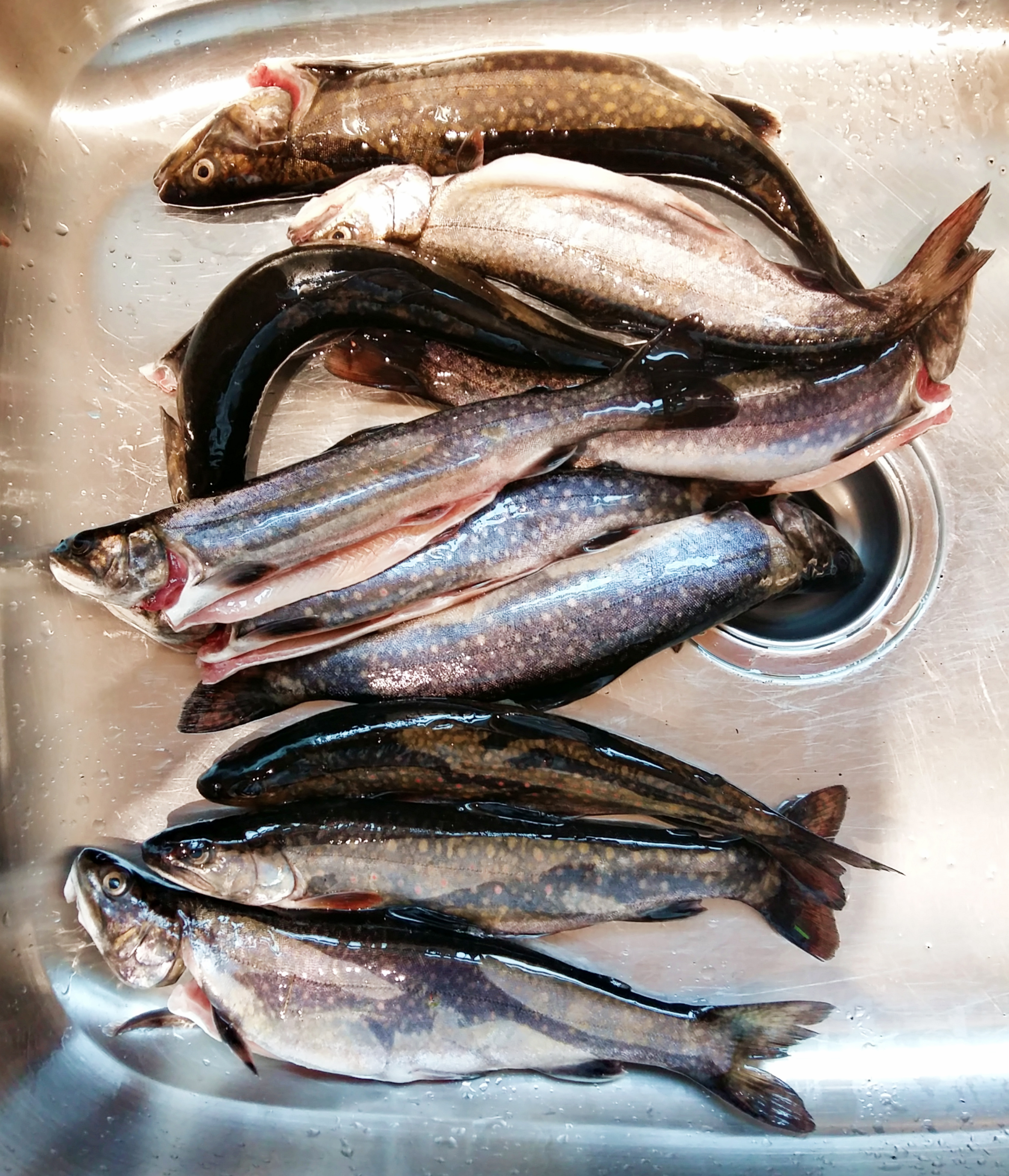 20180519_134236.jpg