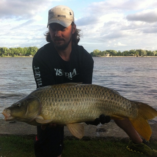 This is a common carp, I caught it yesterday, I think you have a huge type of sucker there...